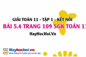 Giải bài 5.4 trang 109 Toán 11 tập 1 SGK Kết nối tri thức